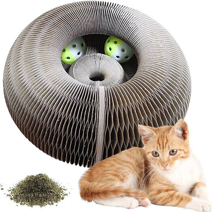 Cat Scratcher with Ball Track