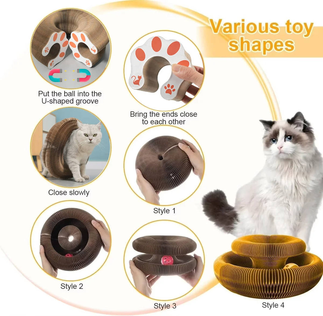 Cat Scratcher with Ball Track