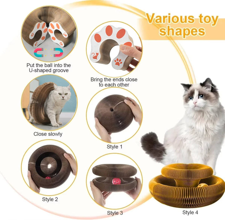 Cat Scratcher with Ball Track
