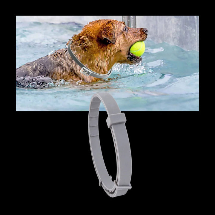 Parasite Repellent Pet Collar