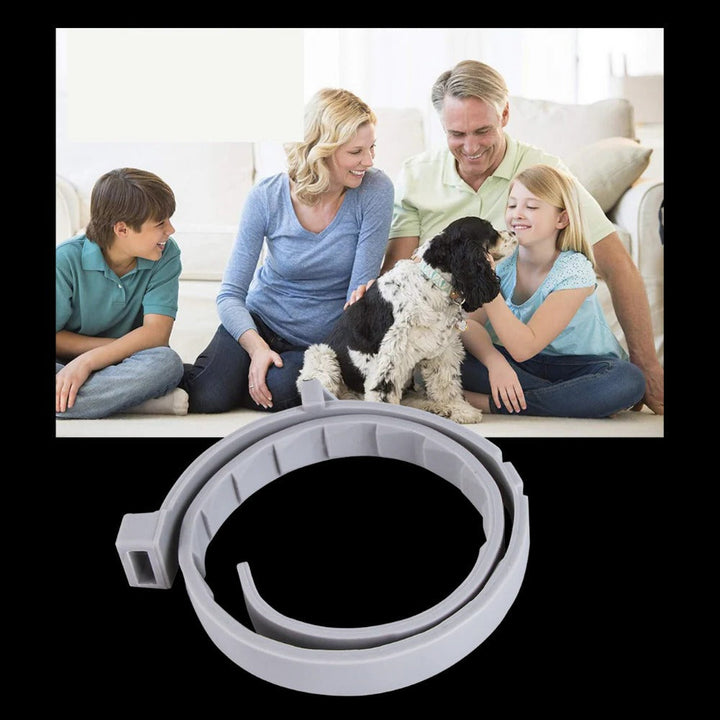 Parasite Repellent Pet Collar