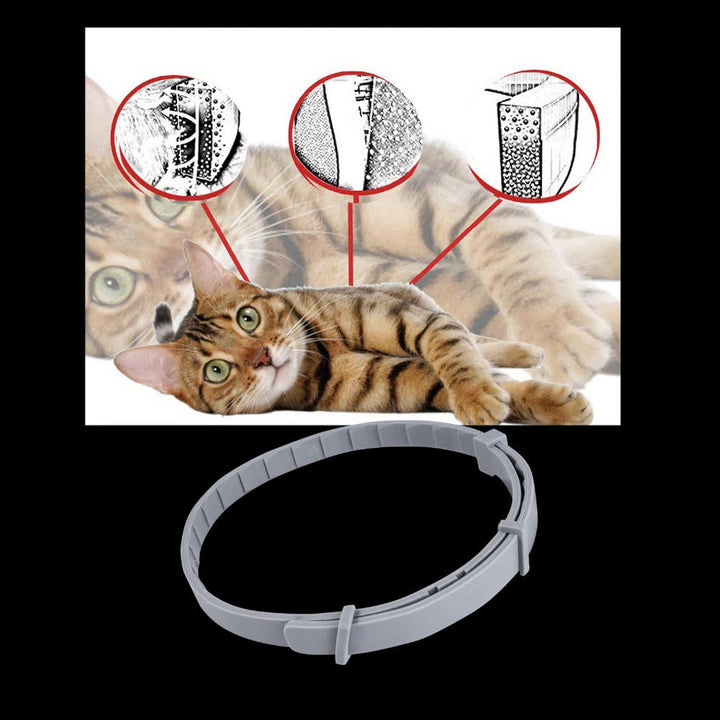 Parasite Repellent Pet Collar