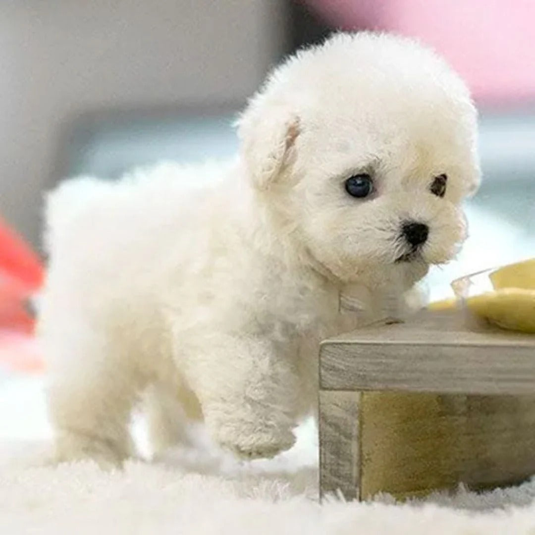 Realistic Robotic Puppy