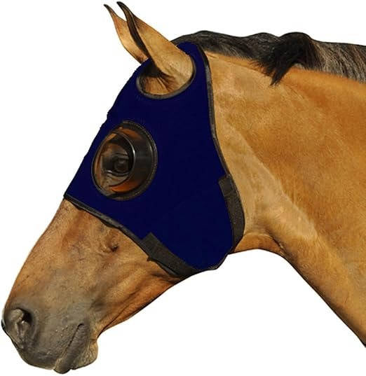 Blinders For Horse