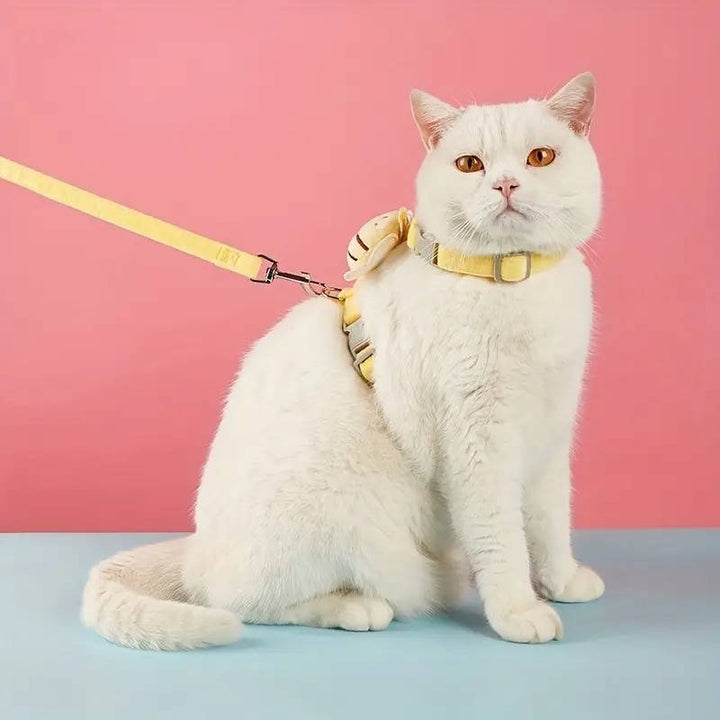 Cat Collar And Harness